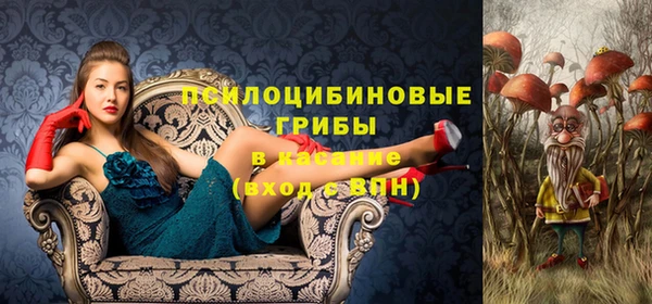 mdma Вяземский
