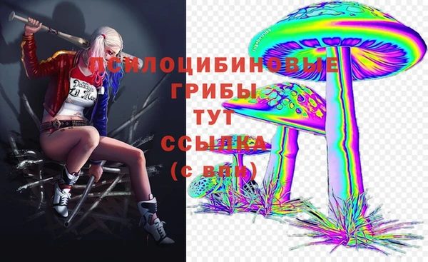 тгк Горно-Алтайск