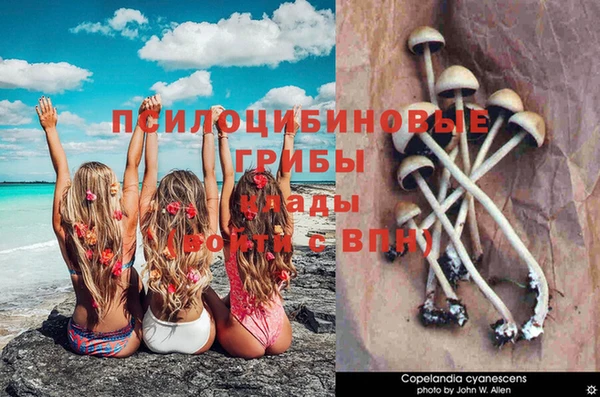 бутират Горнозаводск