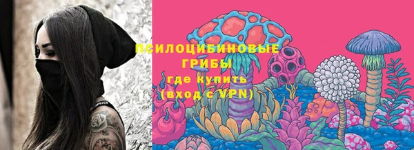 apvp Волоколамск