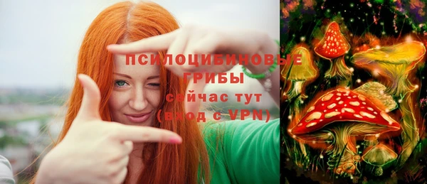 бутират Горнозаводск
