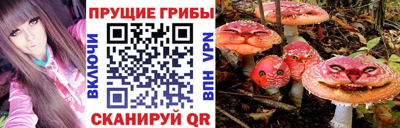 Псилоцибиновые грибы Psilocybe  Купить где  Славск 